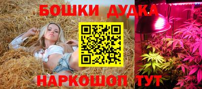 гашик Михайловка