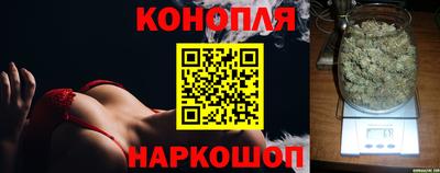 гашик Михайловка